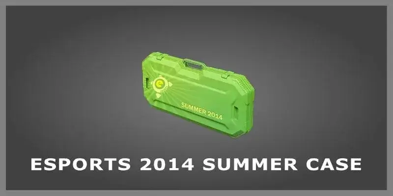 eSports 2014 Summer Case