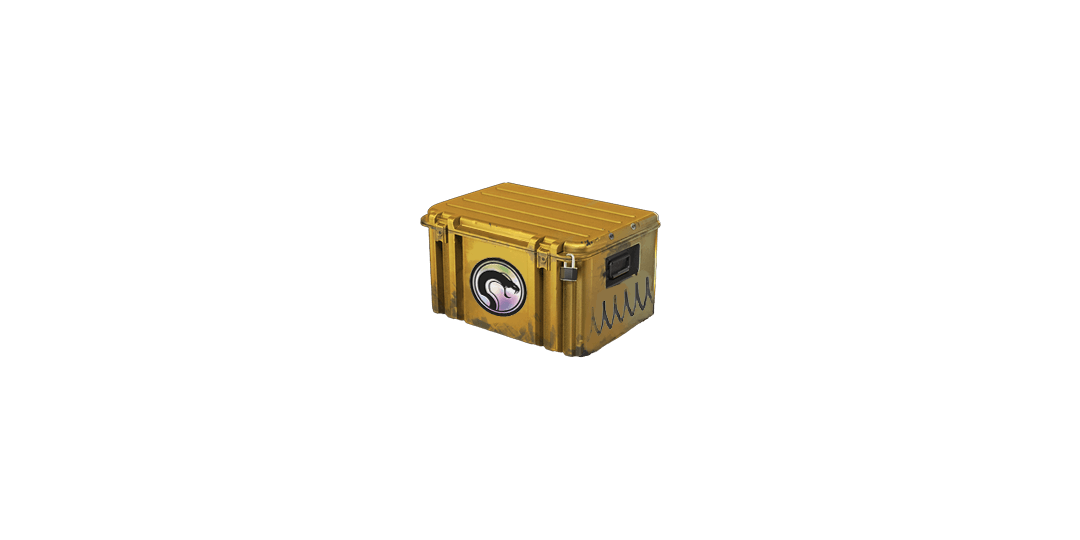 Recoil Case